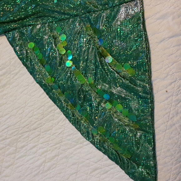 Mermaid Costume - Picture 3 of 6